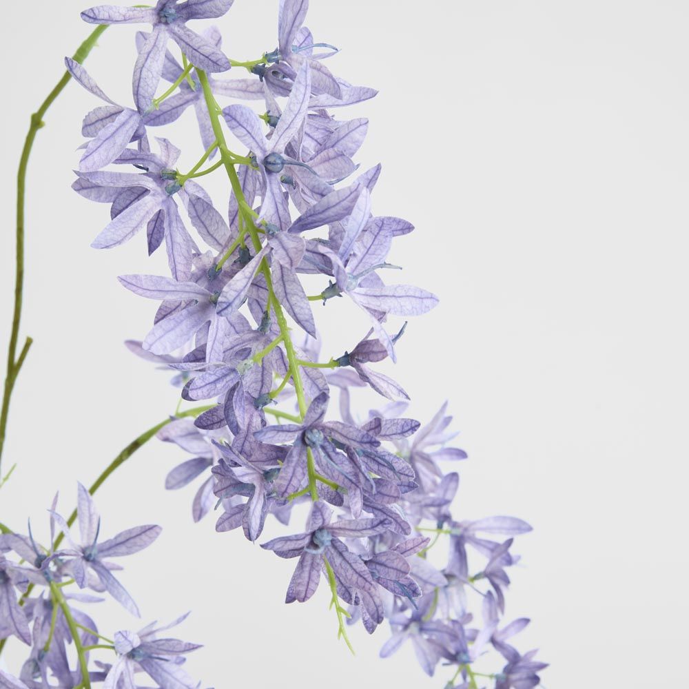 Trailing Wisteria 118Cm Lavender