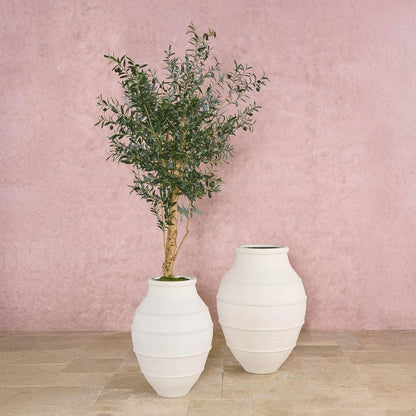 150Cm Olive Tree