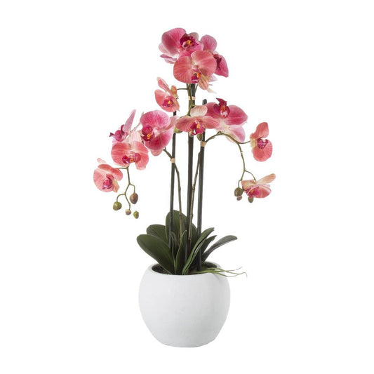 Orchid In White Pot Large 65Cm Pink