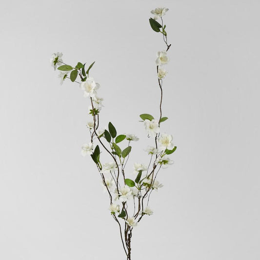 花洒白色100Cm