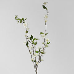 花洒白色100Cm