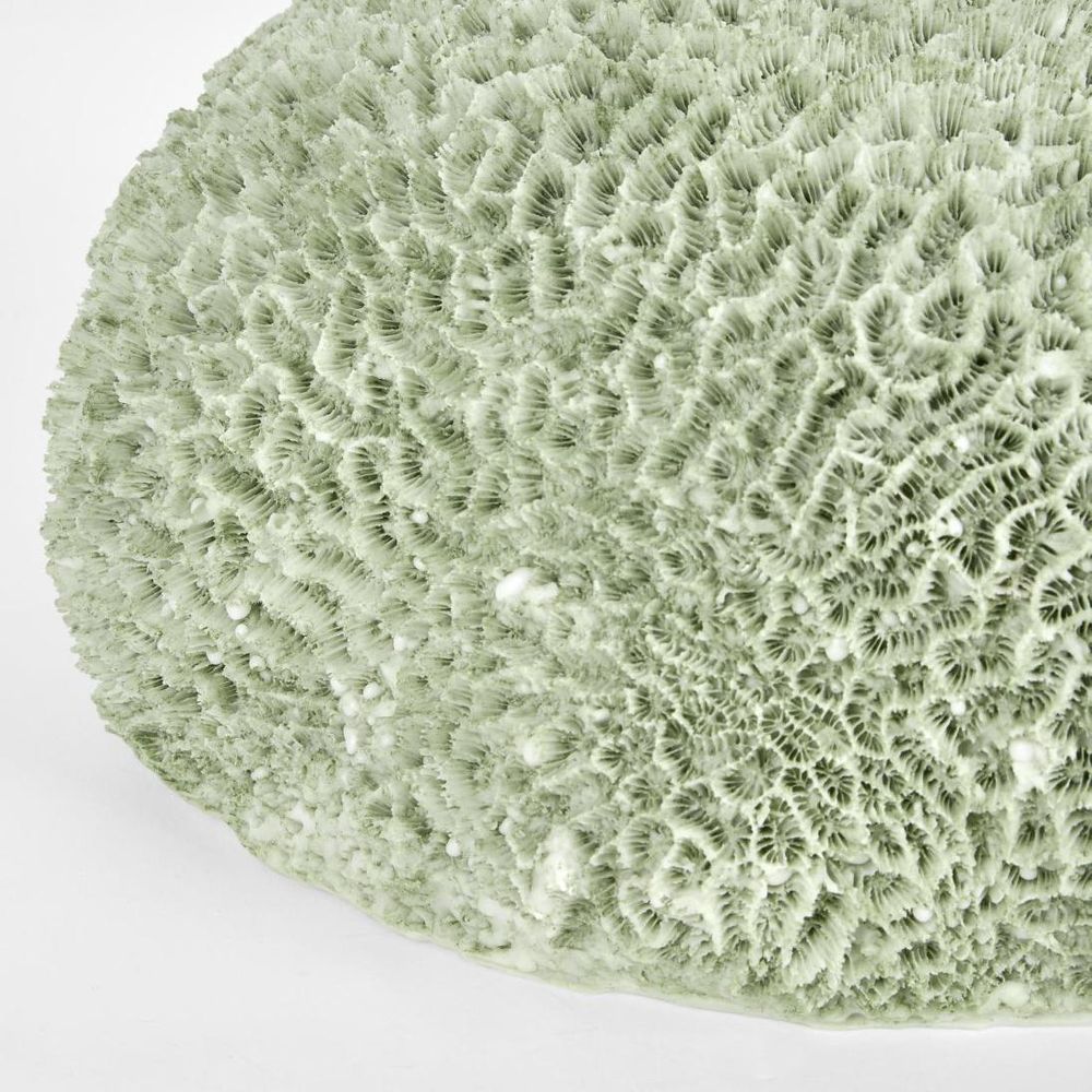 Issie Green Coral 23X21X11Cm