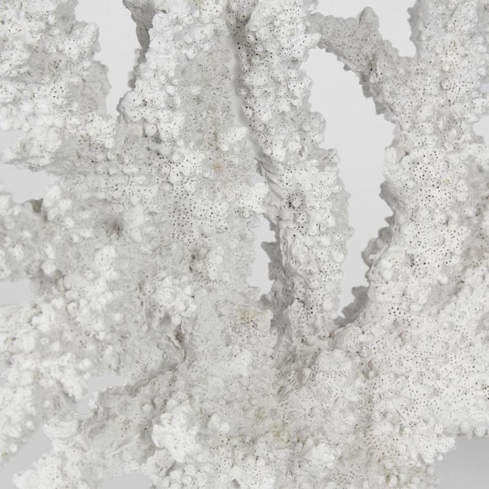 德尔玛白珊瑚 34X13X27Cm