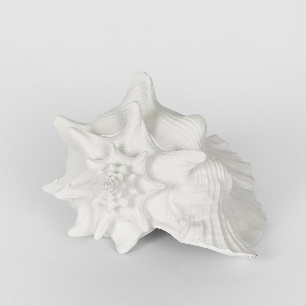 Sandy White Sea Snail 21X19X13Cm