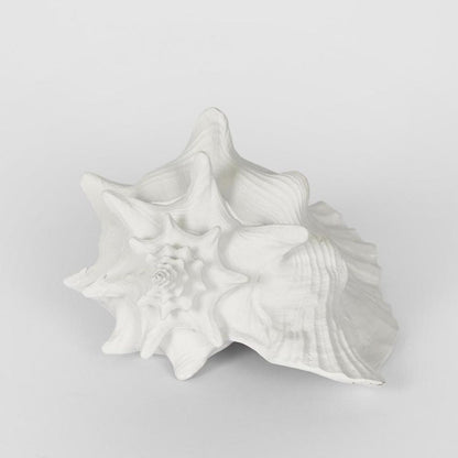 Sandy White Sea Snail 21X19X13Cm