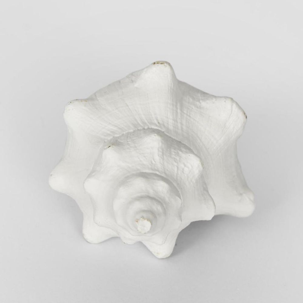 Seb White Sea Snail 12.5X7X5Cm