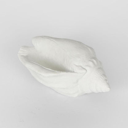 Shore White Sea Snail 20X11X9Cm