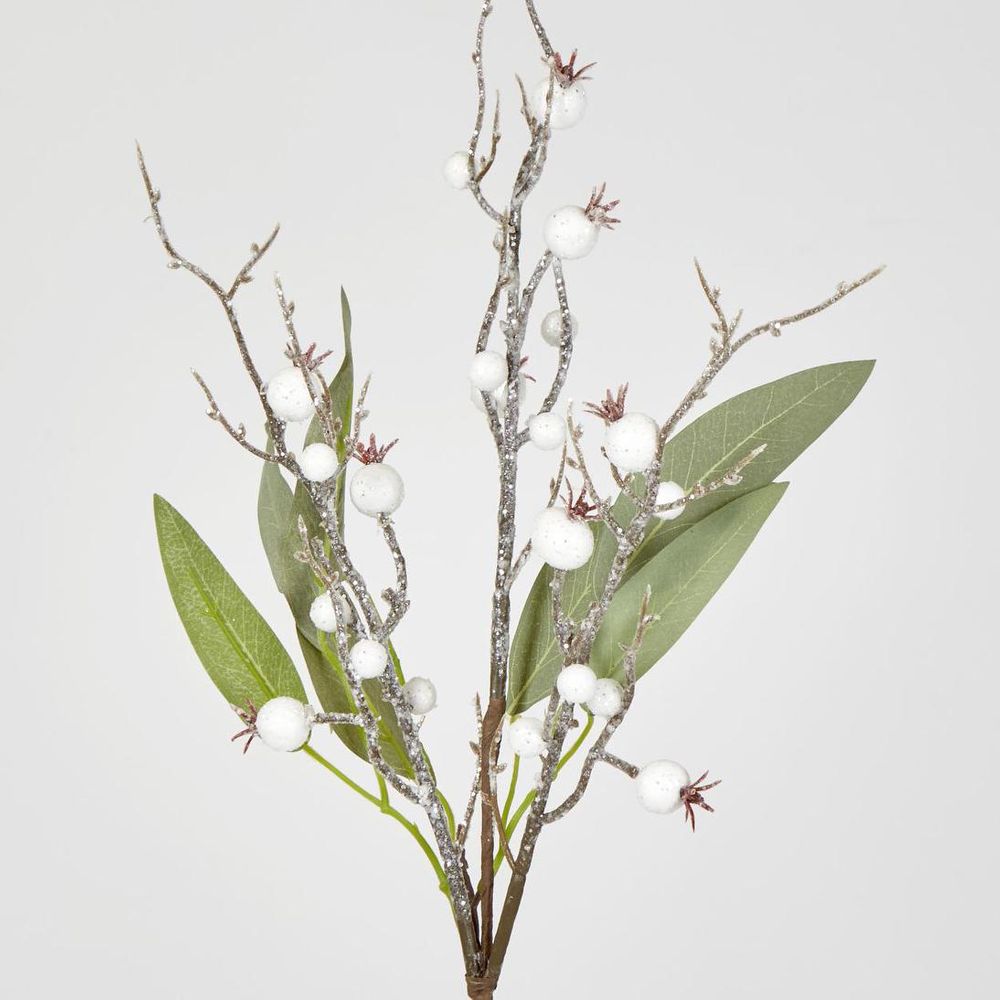 Leaf Spray Branch With Snow Berry
