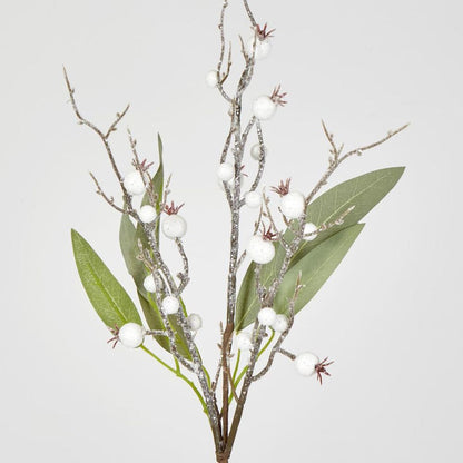Leaf Spray Branch With Snow Berry