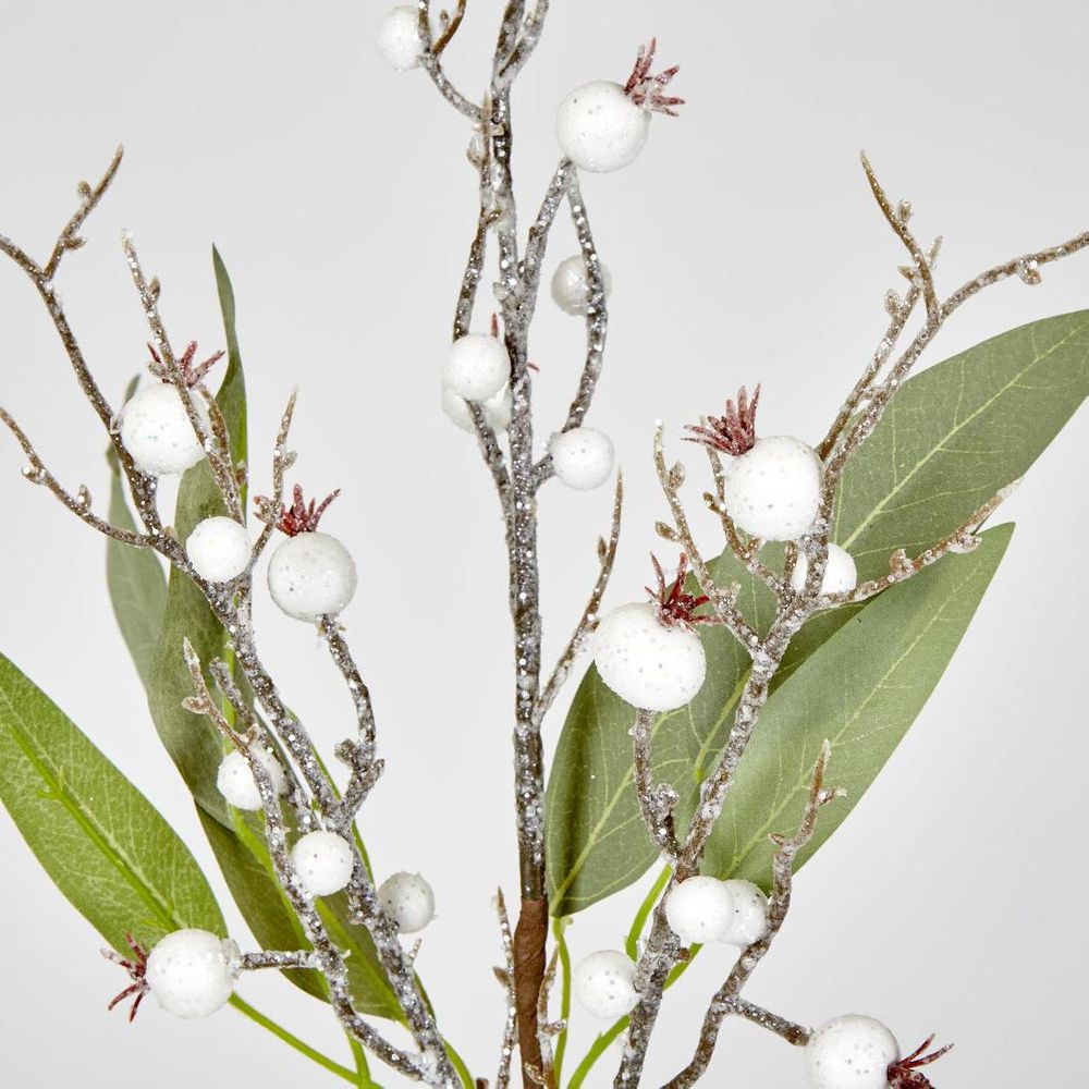 Leaf Spray Branch With Snow Berry