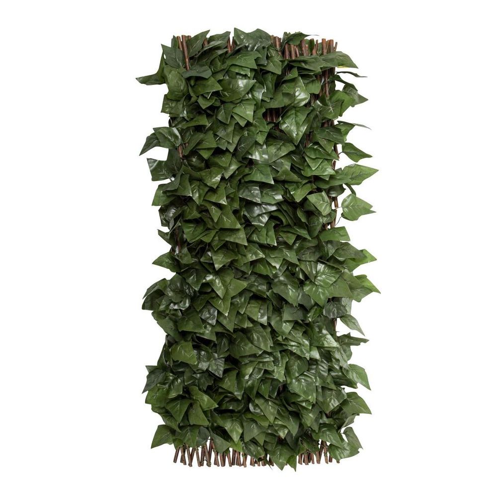 Expanding Ivy Trellis Uv Treated 2M