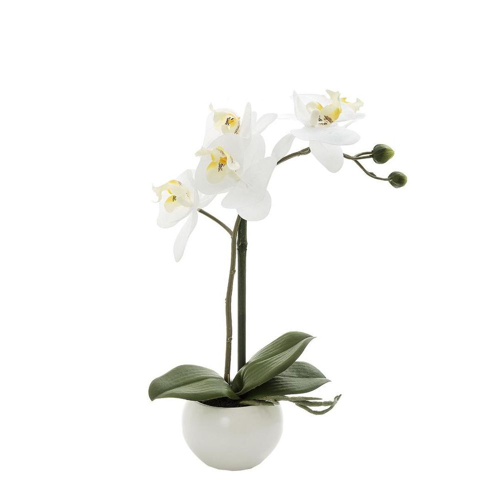 Orchid In White Pot 35Cm White