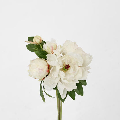 牡丹花束混合30Cm奶油色