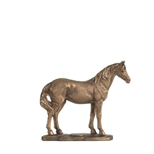 Tucker Standing Horse