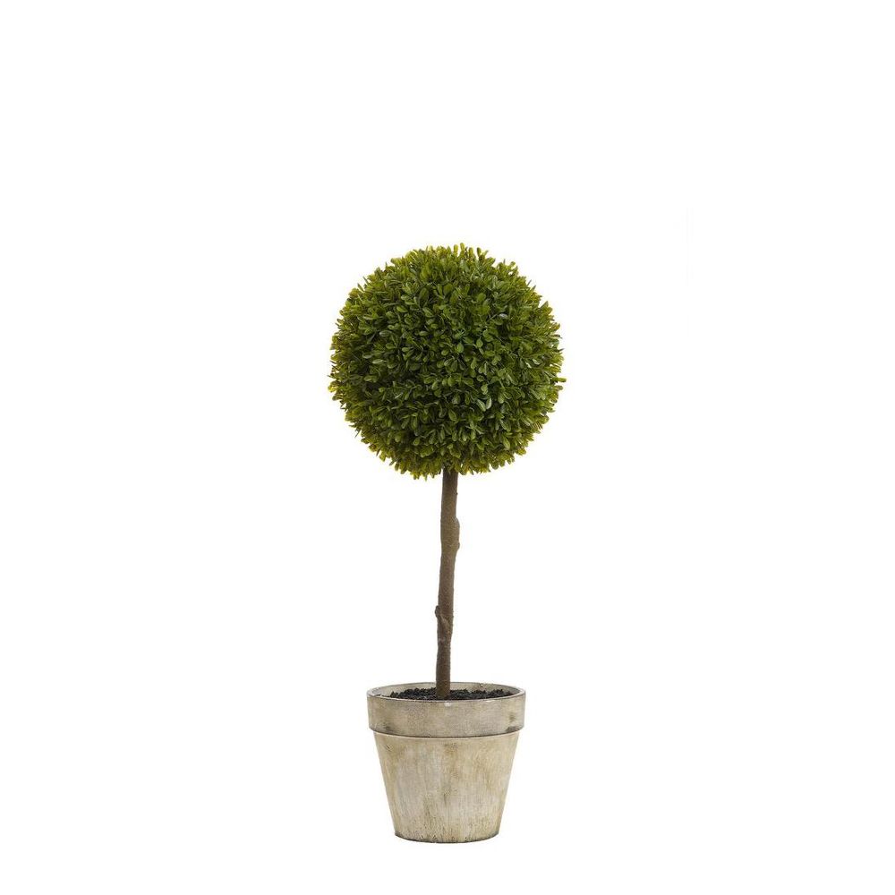 黄杨木植物造型 60厘米