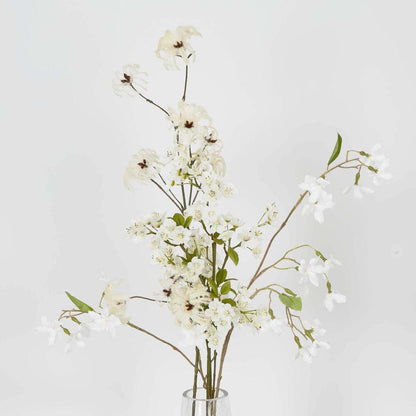 野生棉花喷雾