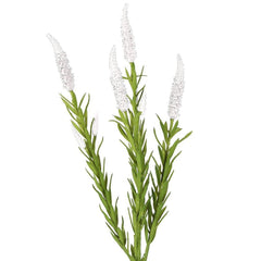 Mint Spray 65Cm Cream