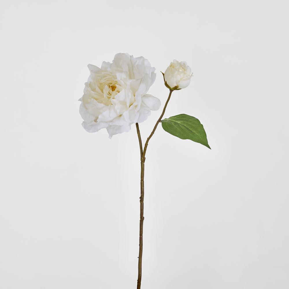 牡丹茎61Cm白色