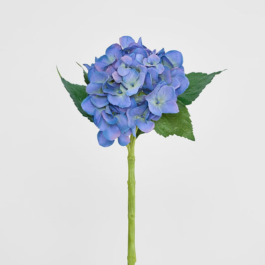 アジサイウォーター 49cm ダークブルー