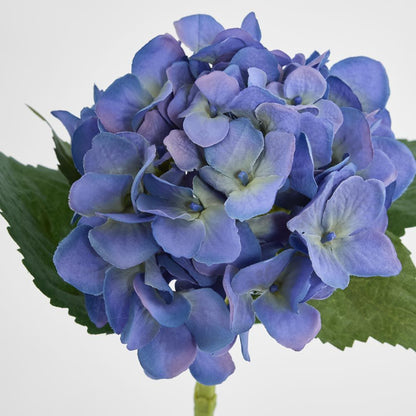 Hydrangea Water 49cm Dark Blue