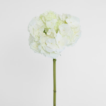 绣球花50cm白色