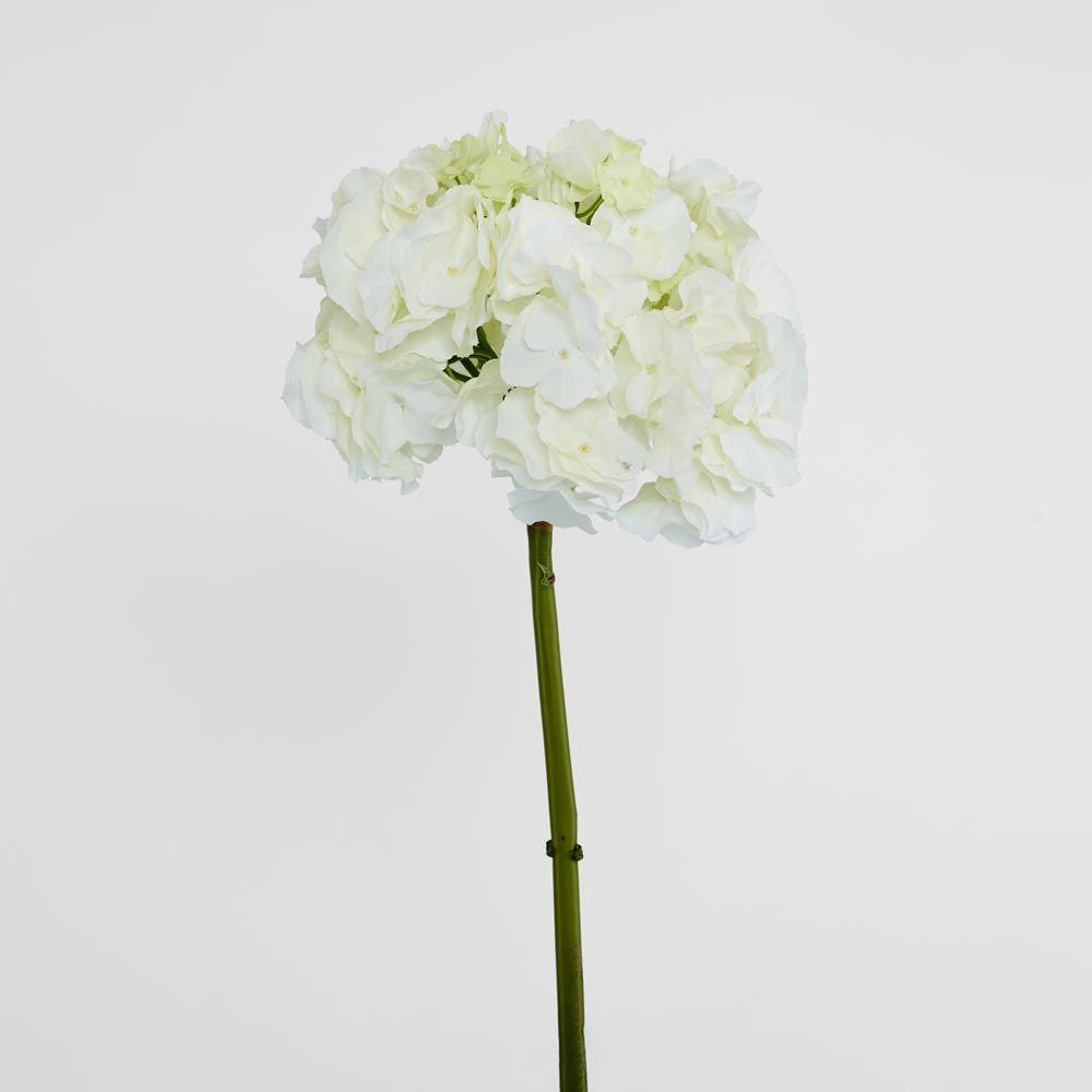 绣球花50cm白色