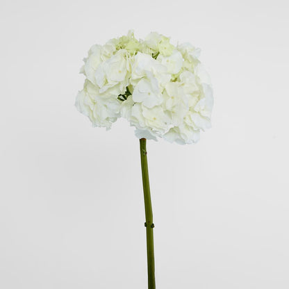 绣球花50cm白色