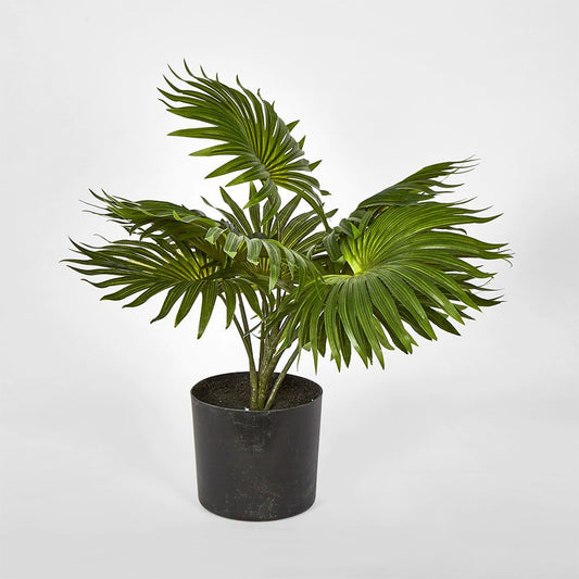 45Cm Real Touch Green Fountain Palm In Pot