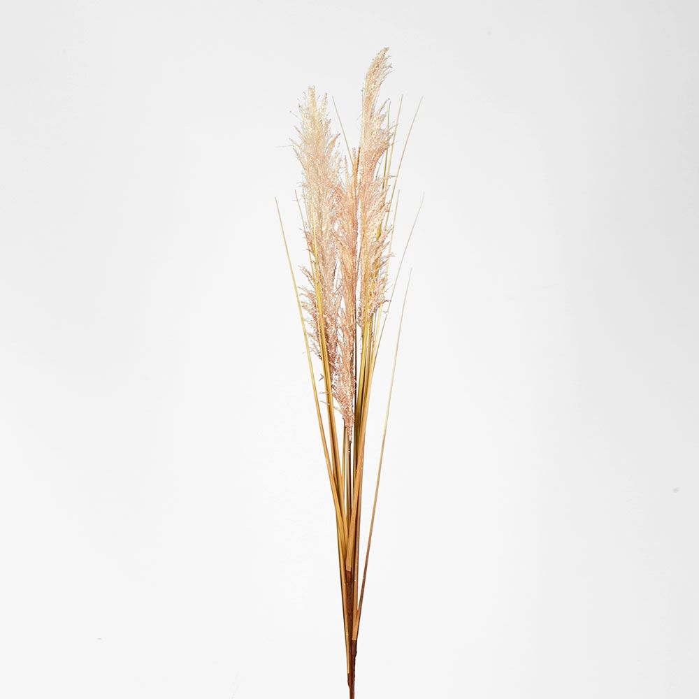 Cream White Pampas Spray