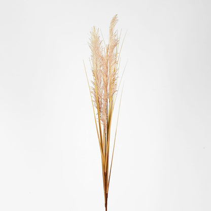 Cream White Pampas Spray