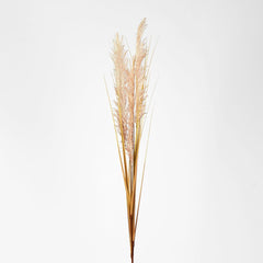 Cream White Pampas Spray