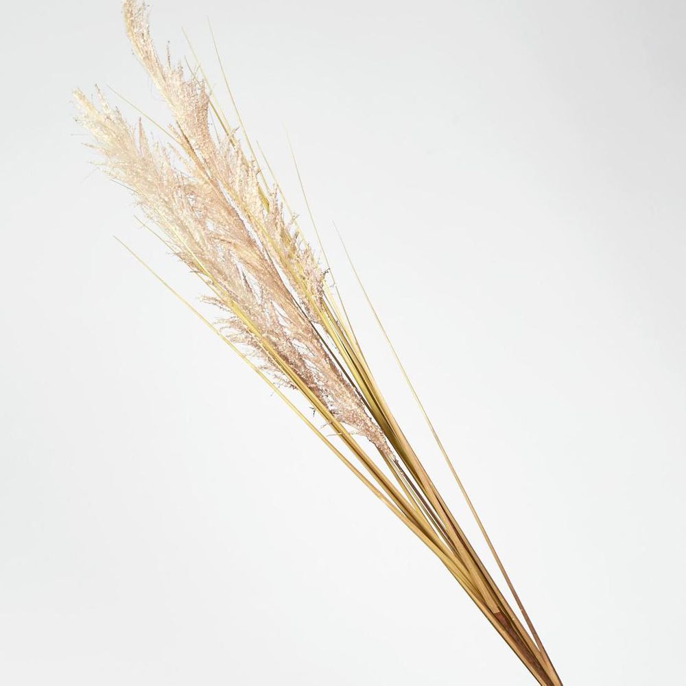Cream White Pampas Spray