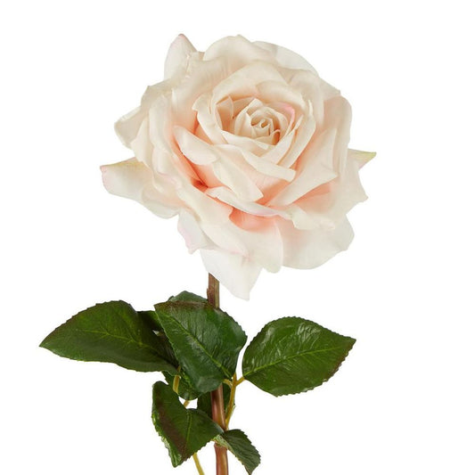 Stella Real Touch 玫瑰花茎 50 厘米 腮红