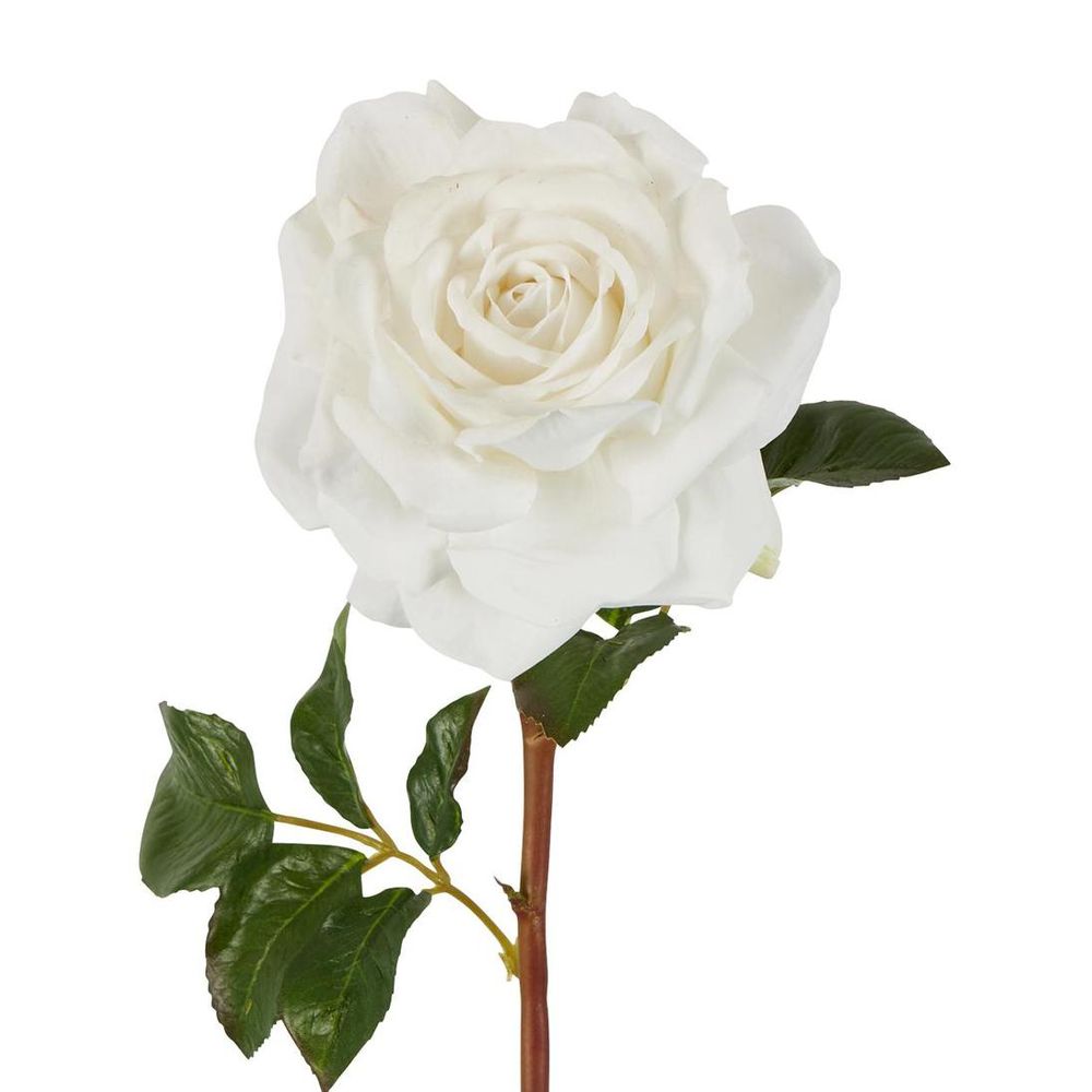 Stella Real Touch 玫瑰花茎 50厘米 白色