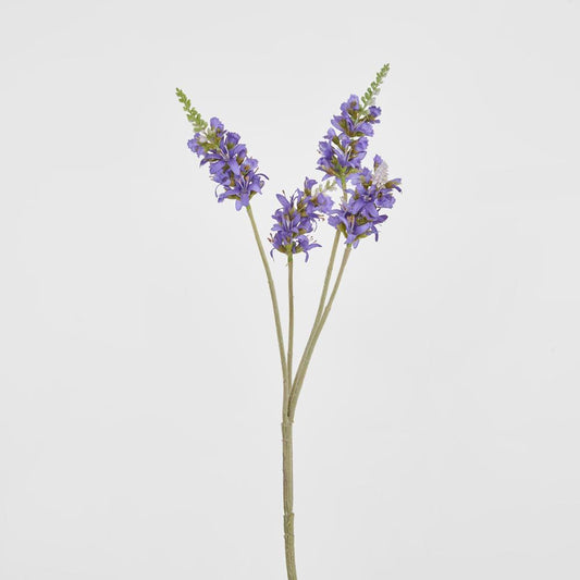 Salvia Nutans 鼠尾草喷雾 84 厘米薰衣草色