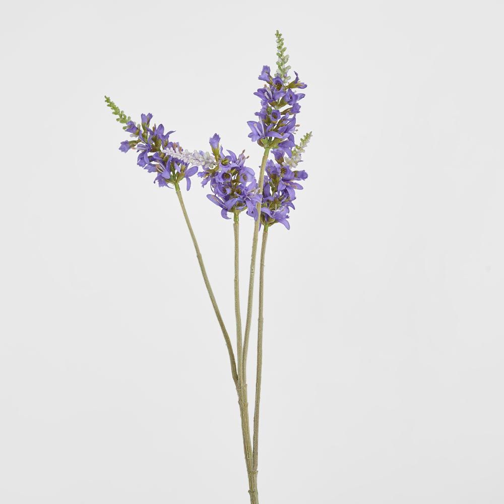 Salvia Nutans 鼠尾草喷雾 84 厘米薰衣草色