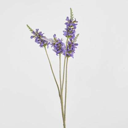 Salvia Nutans 鼠尾草喷雾 84 厘米薰衣草色