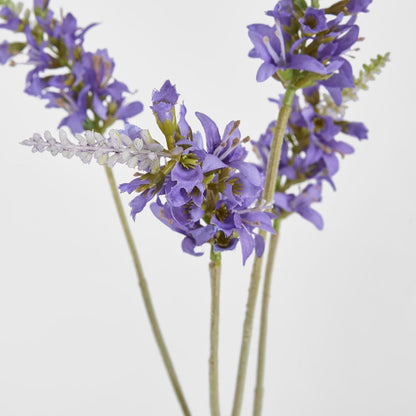 Salvia Nutans 鼠尾草喷雾 84 厘米薰衣草色