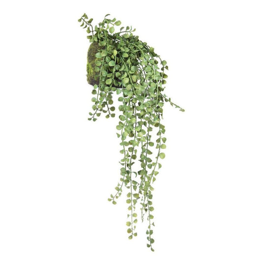 Succulent Hanging 64Cm