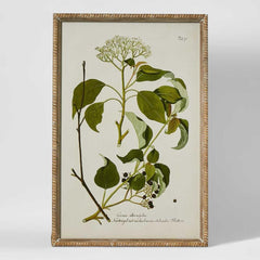 Greenhouse Botanical Wall Art A