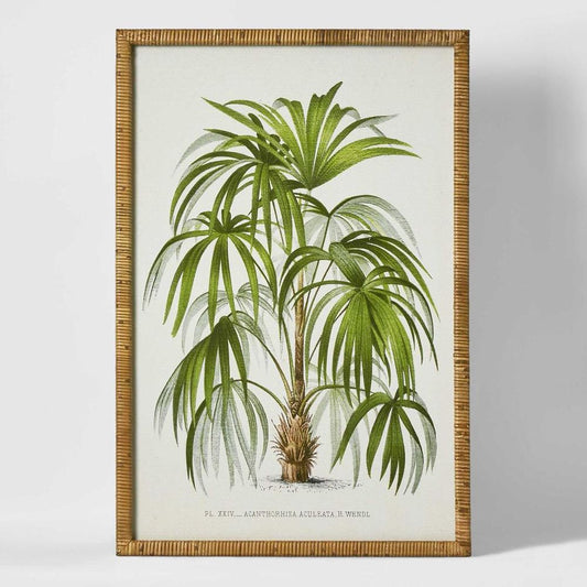 Palm Botanical Wall Art B