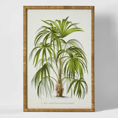 Palm Botanical Wall Art B