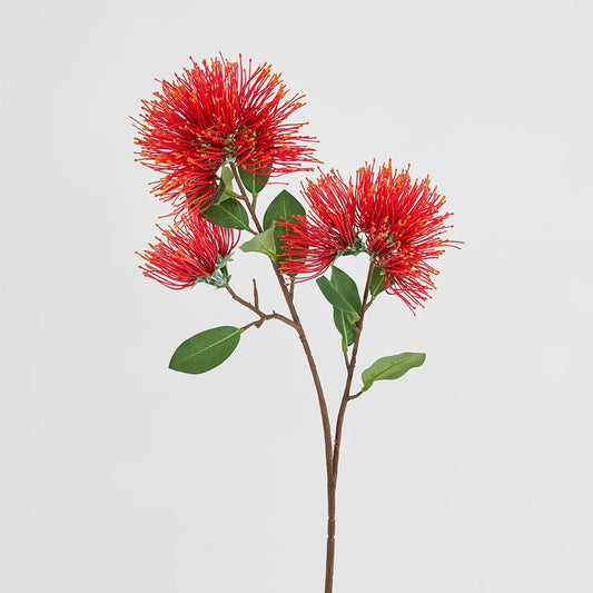 Pohutukawa Stem
