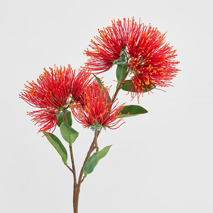 Pohutukawa Stem