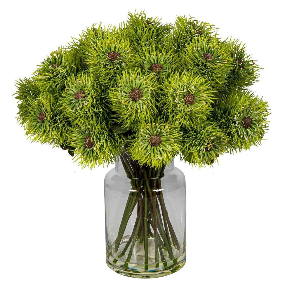 Pincushion Natives In Glass Vase