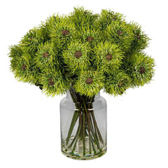 Pincushion Natives In Glass Vase