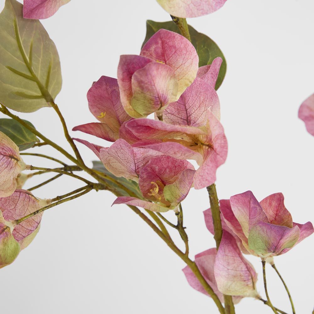 Bougainvillea Spray 97Cm Pink