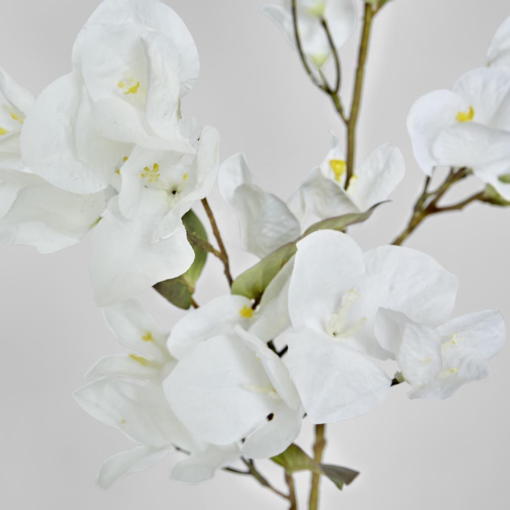 Bougainvillea Spray 97Cm White