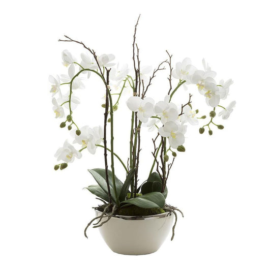 Orchid Real Touch 60Cm In White Pot Silver Rim