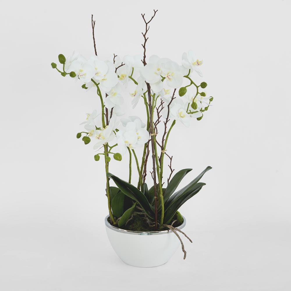 Orchid Real Touch 60Cm In White Pot Silver Rim